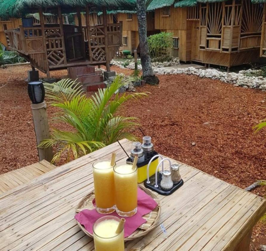 Nirvana Resort & Dive Centre - Moalboal Dış mekan fotoğraf