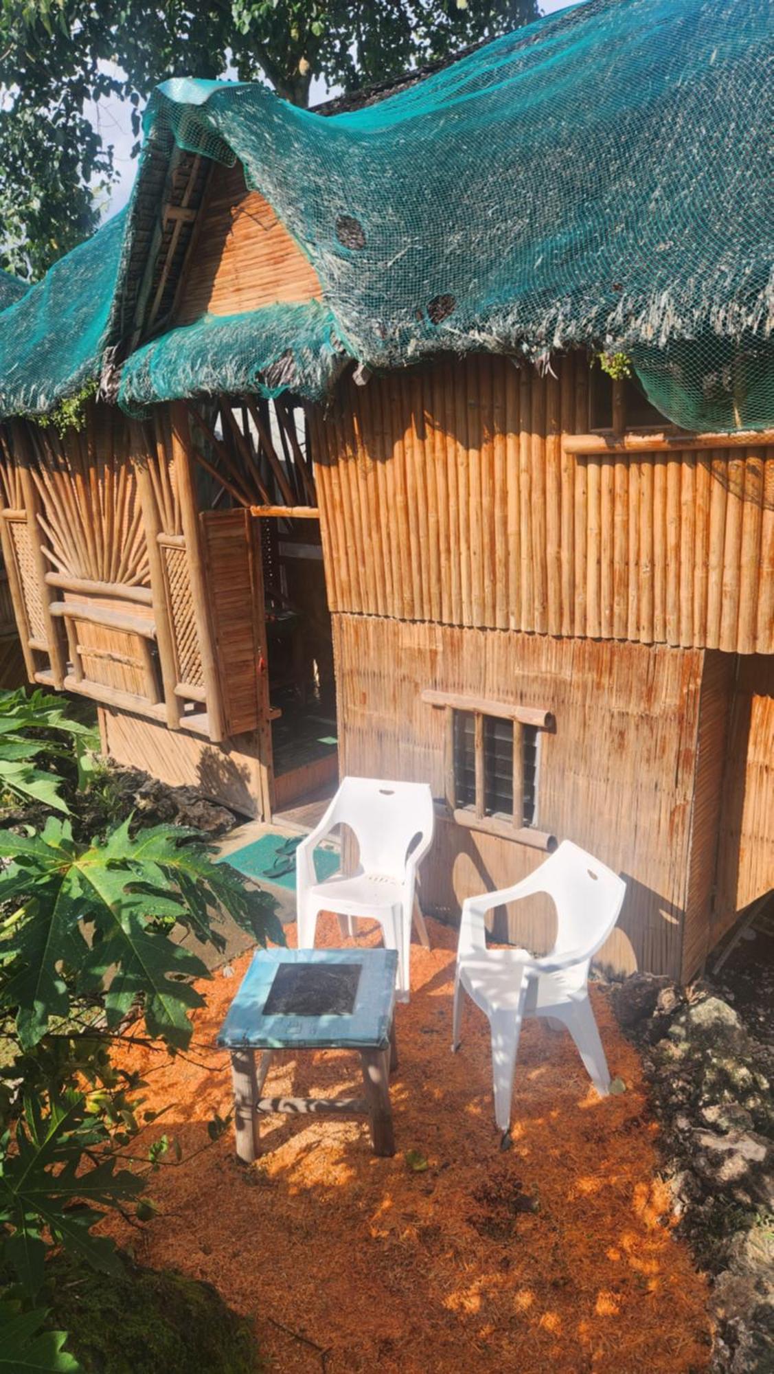 Nirvana Resort & Dive Centre - Moalboal Dış mekan fotoğraf